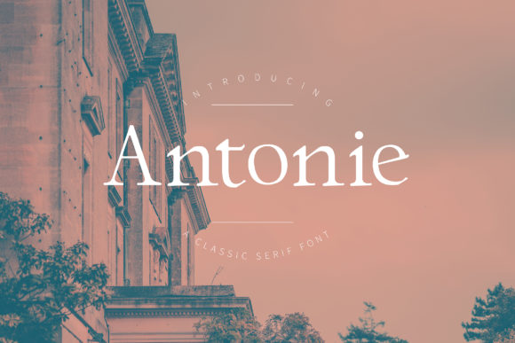Antonie: The Classic Serif Font for Bold Campaigns