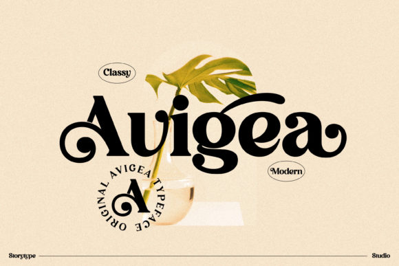 Avigea: A Luxurious Serif Font for Small Business Branding