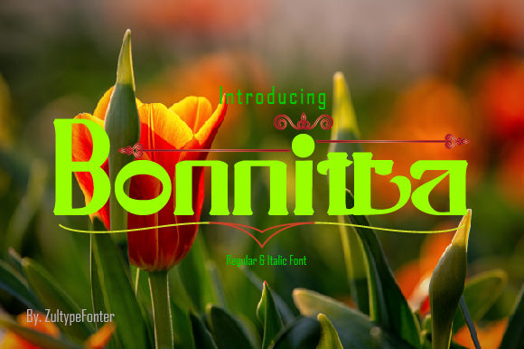 Bonnitta: The Serif Font for High-Impact Campaigns