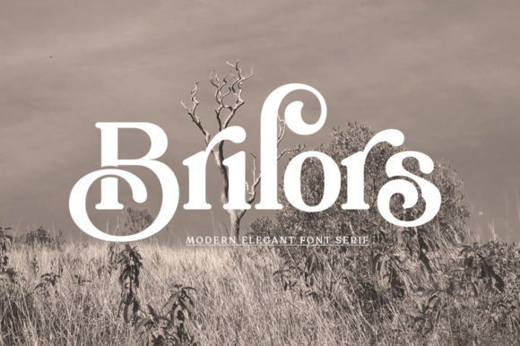Brilors: An Elegant Serif Font for Branding
