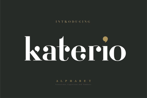 Katerio: The Bold Serif Font for Marketers